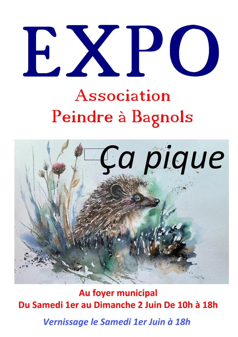 Affcihe Expo Peinture Bagnols-en-Forêt
