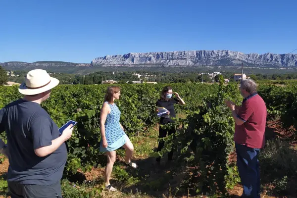 Wine Tour in Cezanne Countryside