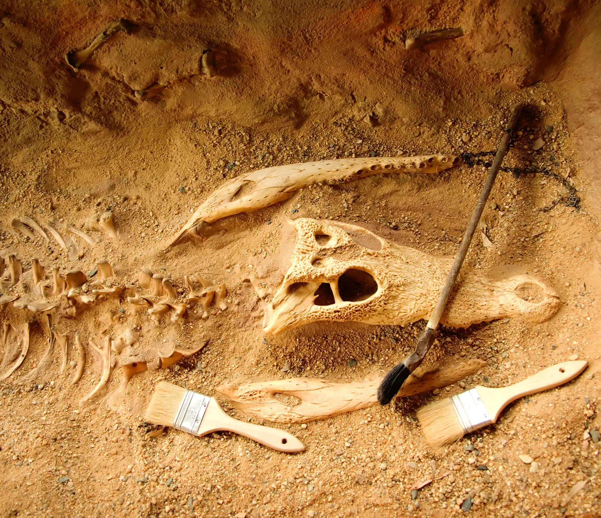 Mini-fouilles archéologiques_Cluses