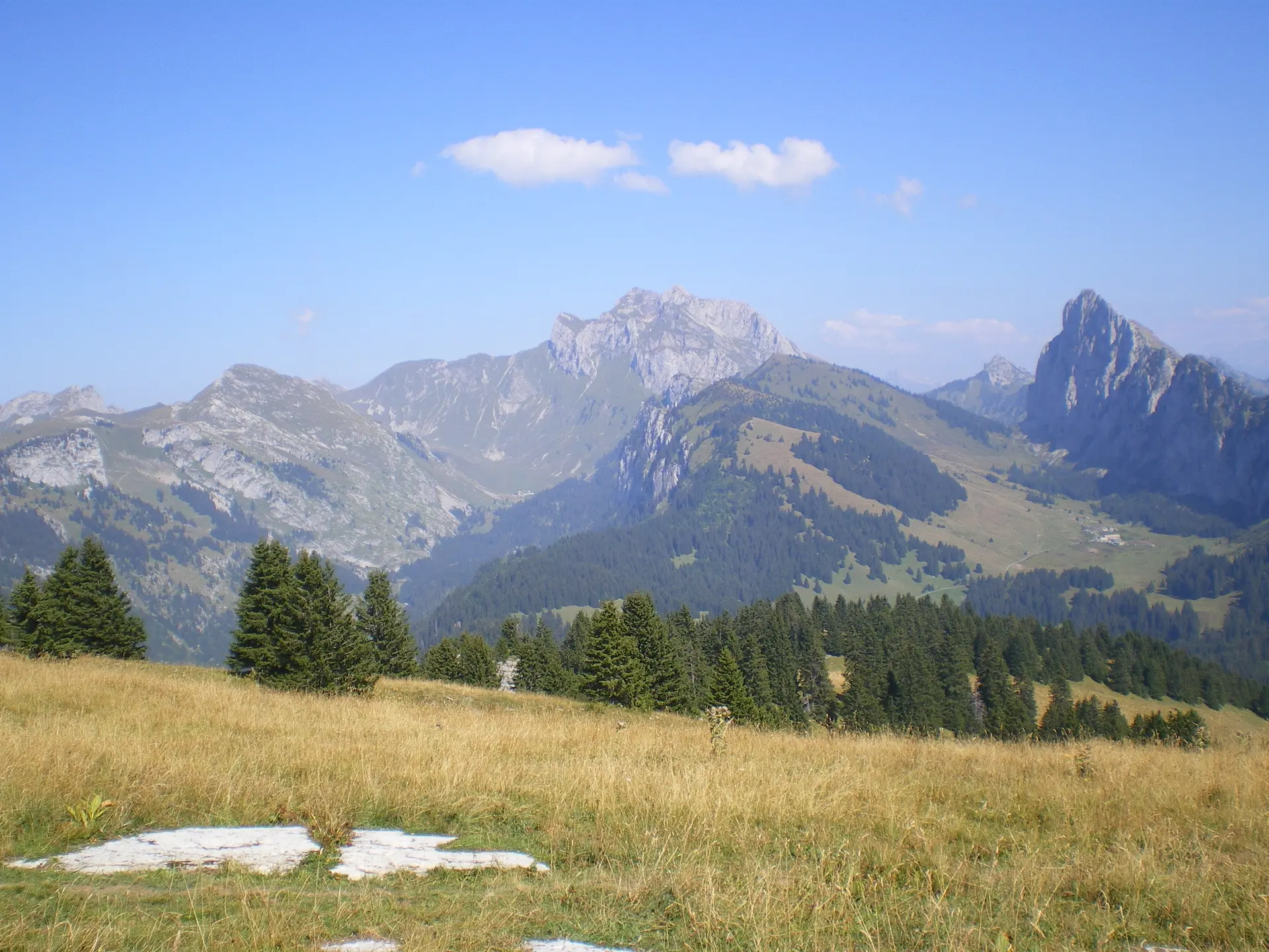 Vue sur les Cornettes, le Mont Chauffé, Bise et Ubine depuis la point d'Autigny