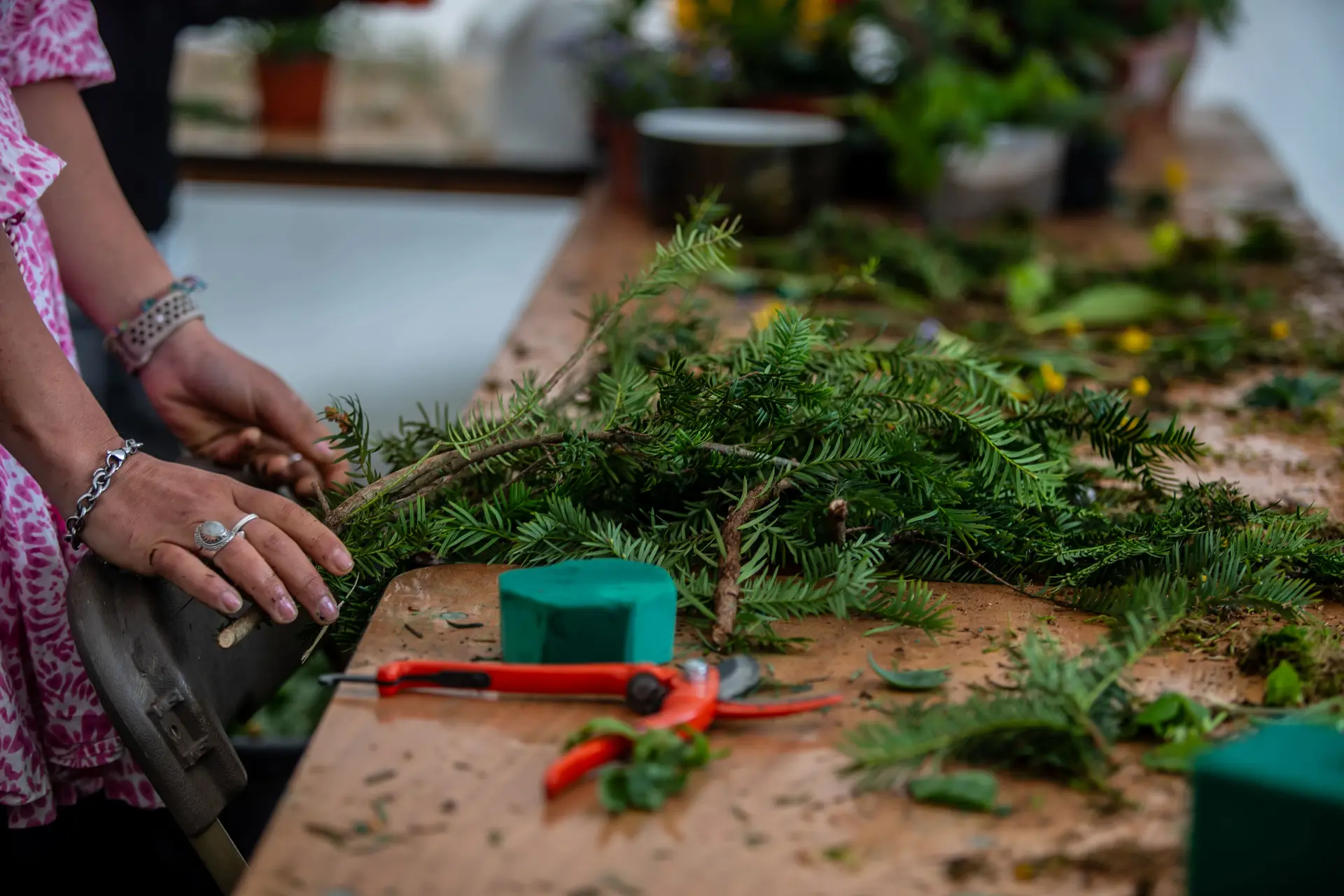 Une femme coupe une branche d'épicéa
