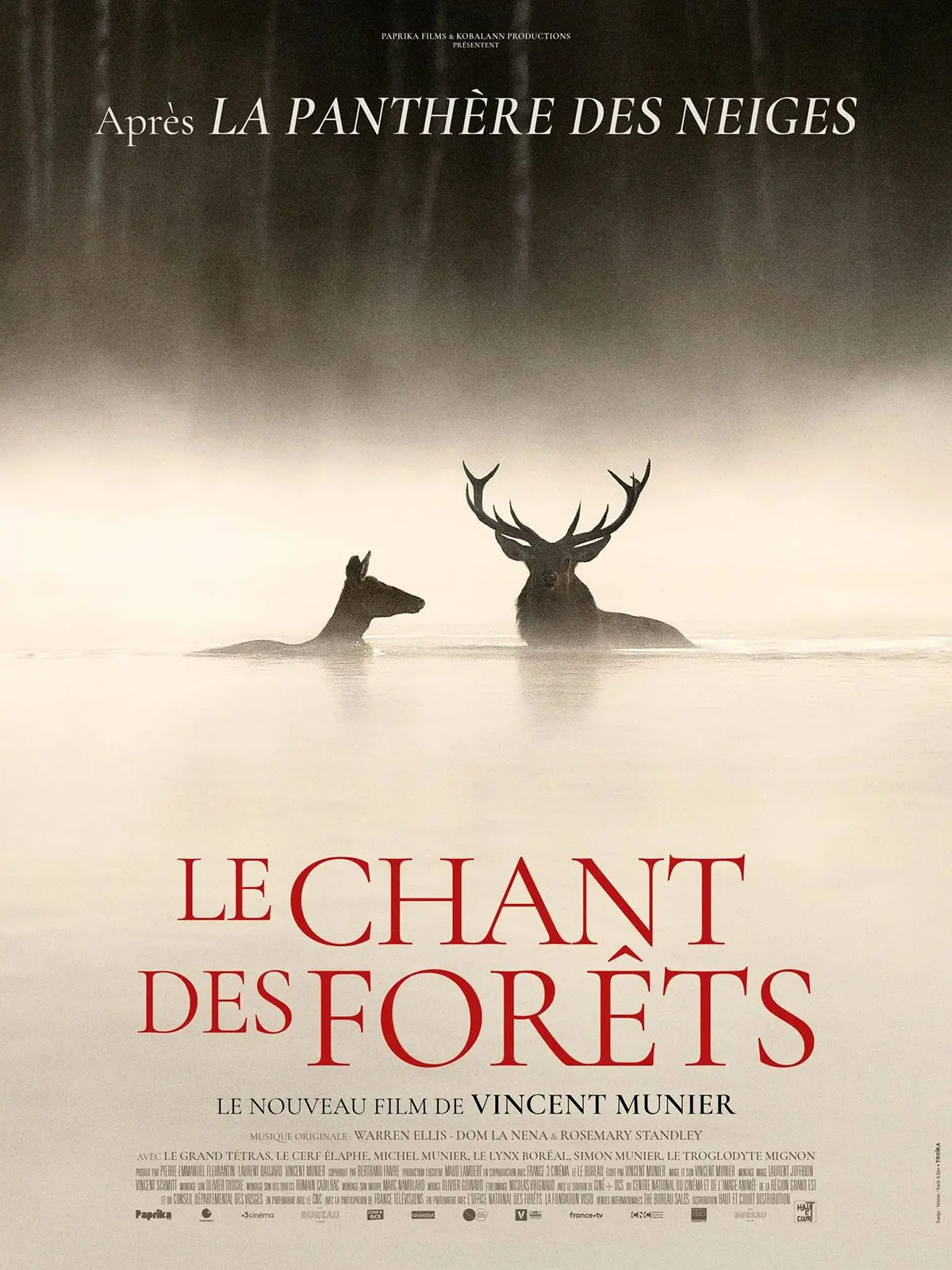 Film Le chant des forêts
