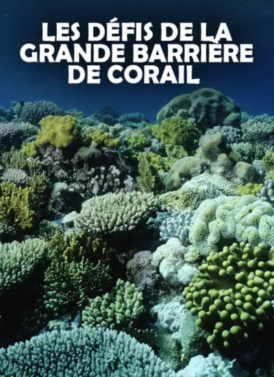 Diffusion Musée Micro-Folie -Les défis de la Grande Barrière de Corail_Monteux