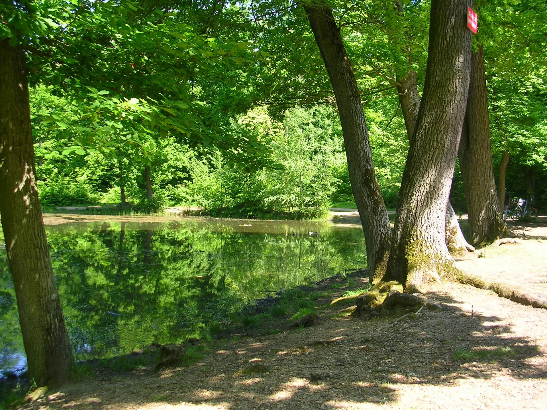 Etape 3 - Un milieu particulier la mare aux canes