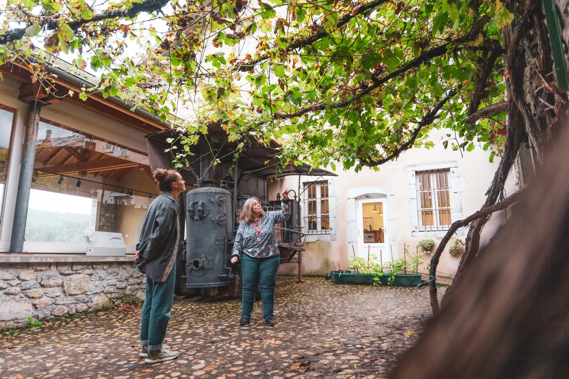 Musée de la vigne et du vin - Montmélian