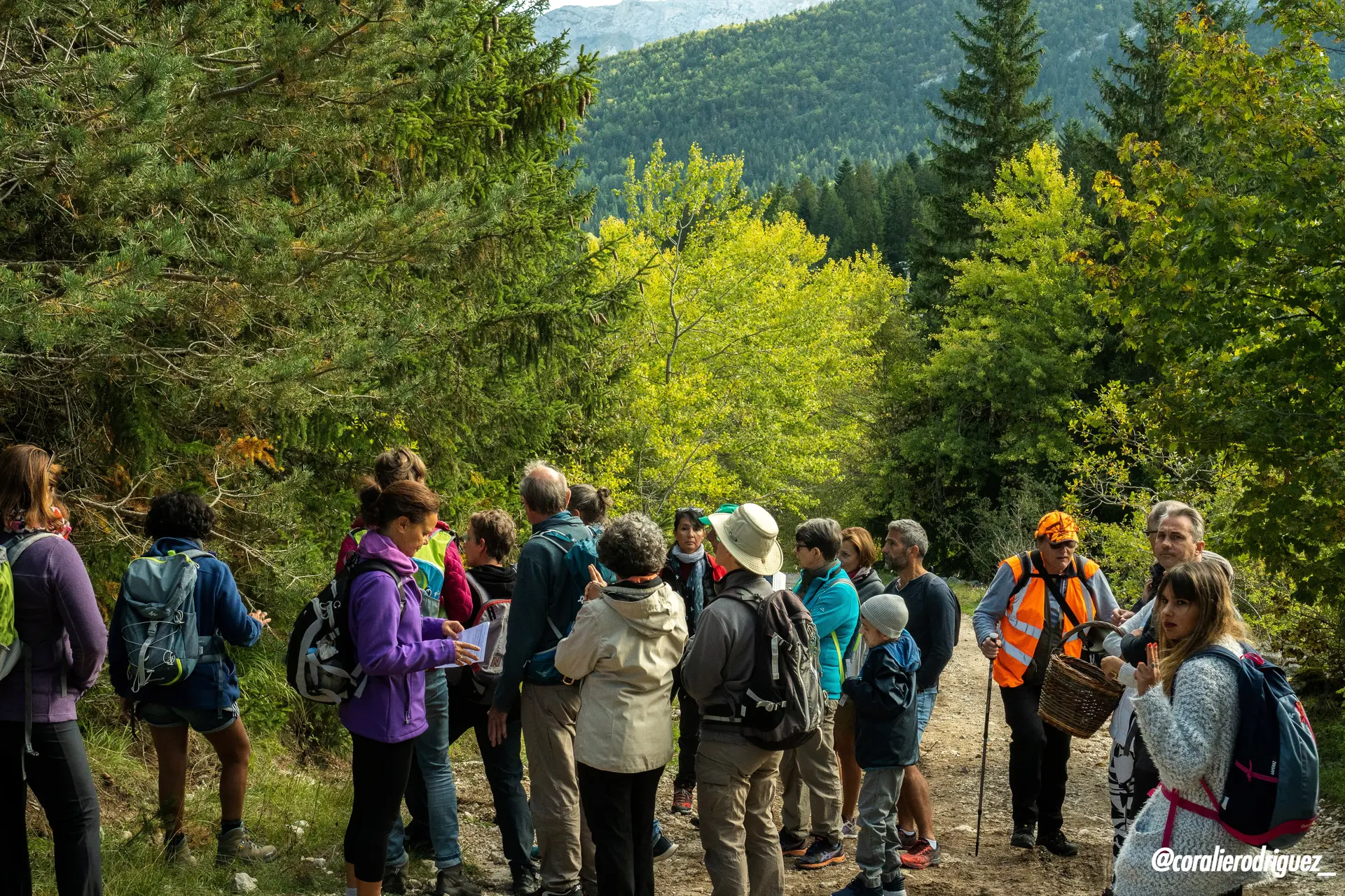 Groupe de personnes randonnant dans la forêt