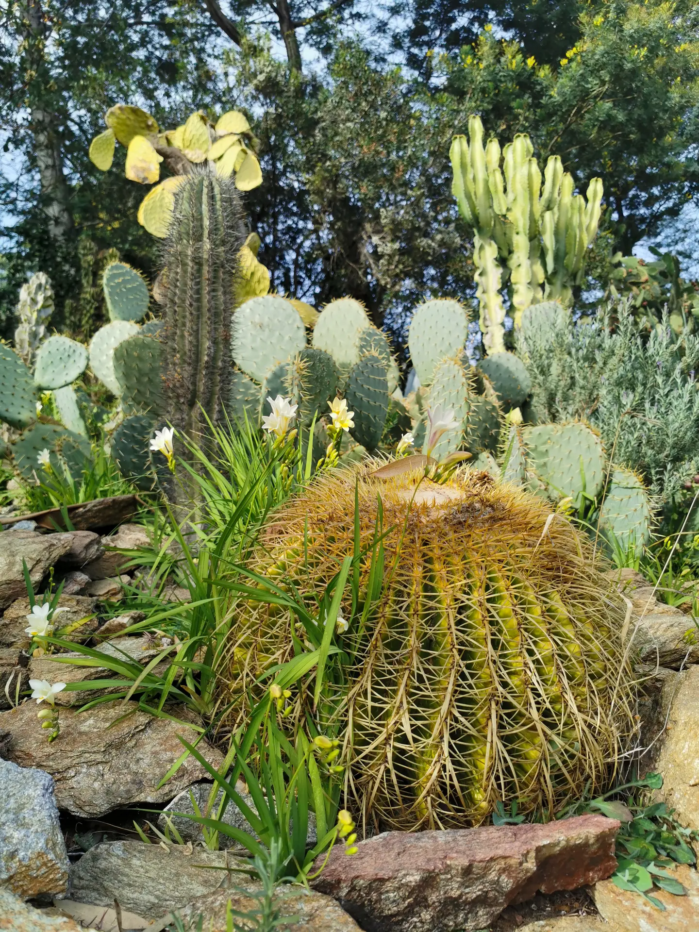 Rdv aux jardins 