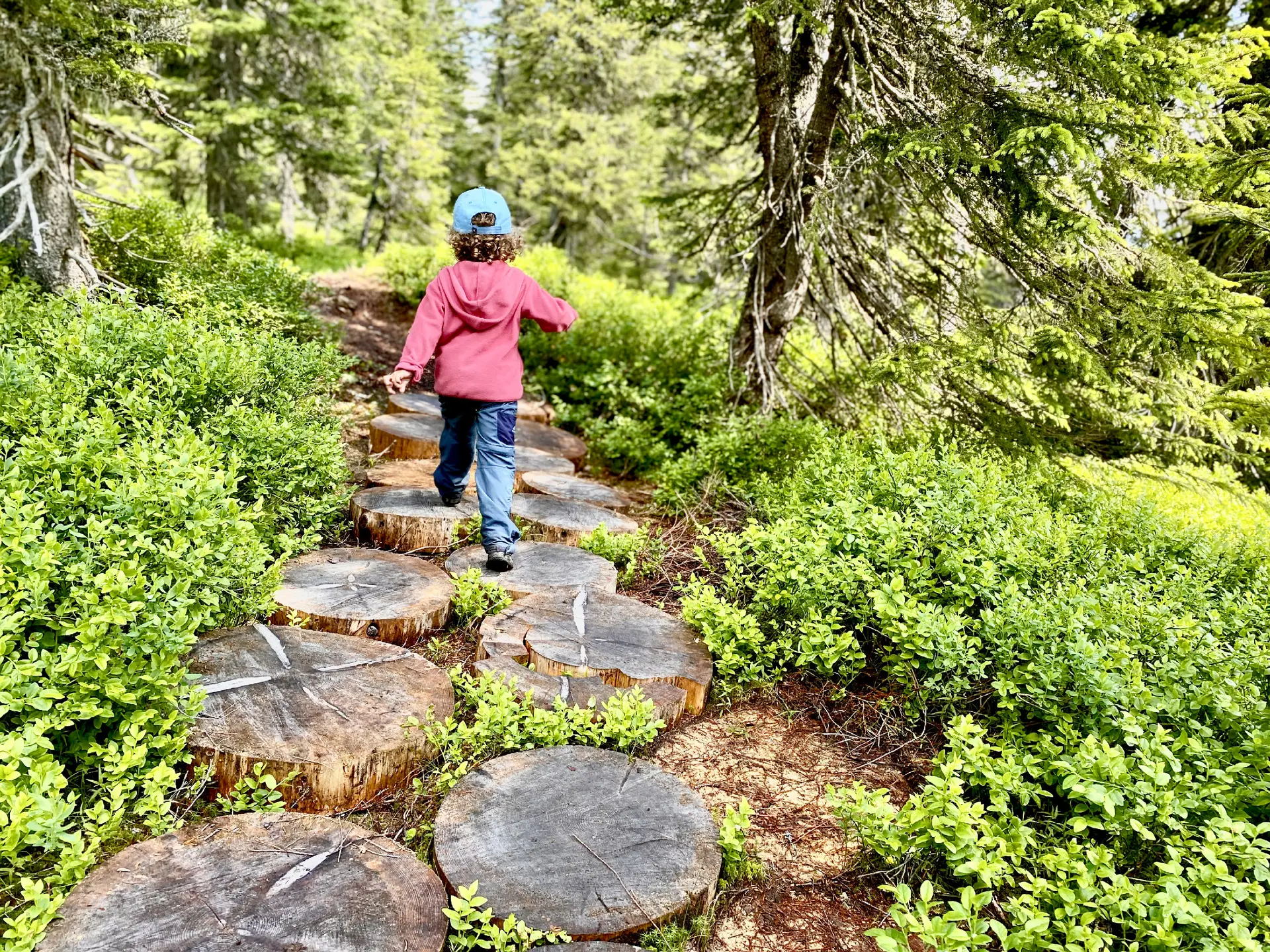 Sentier des Arpelières avec les enfants