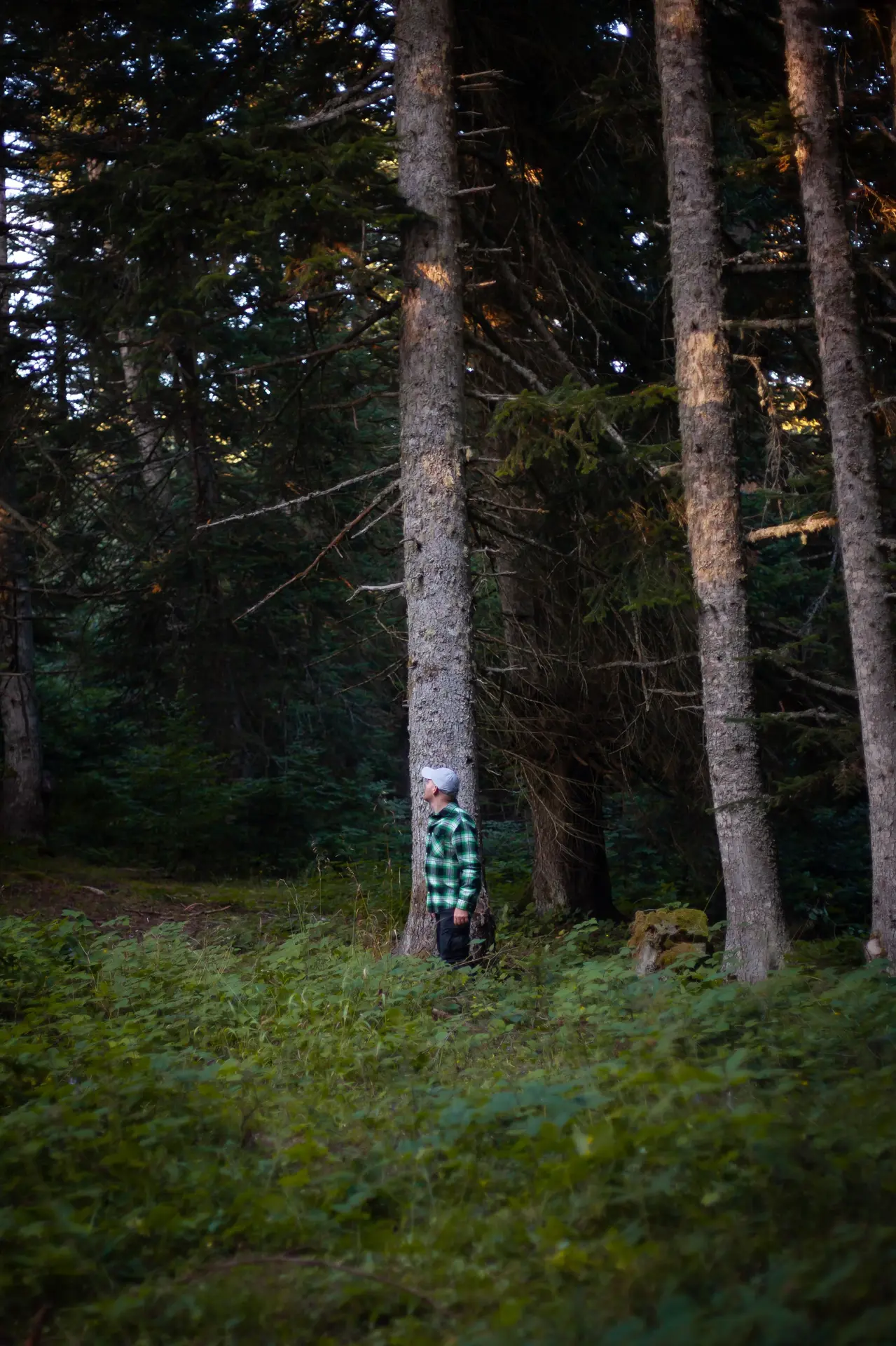 Monsieur seul dans la foret