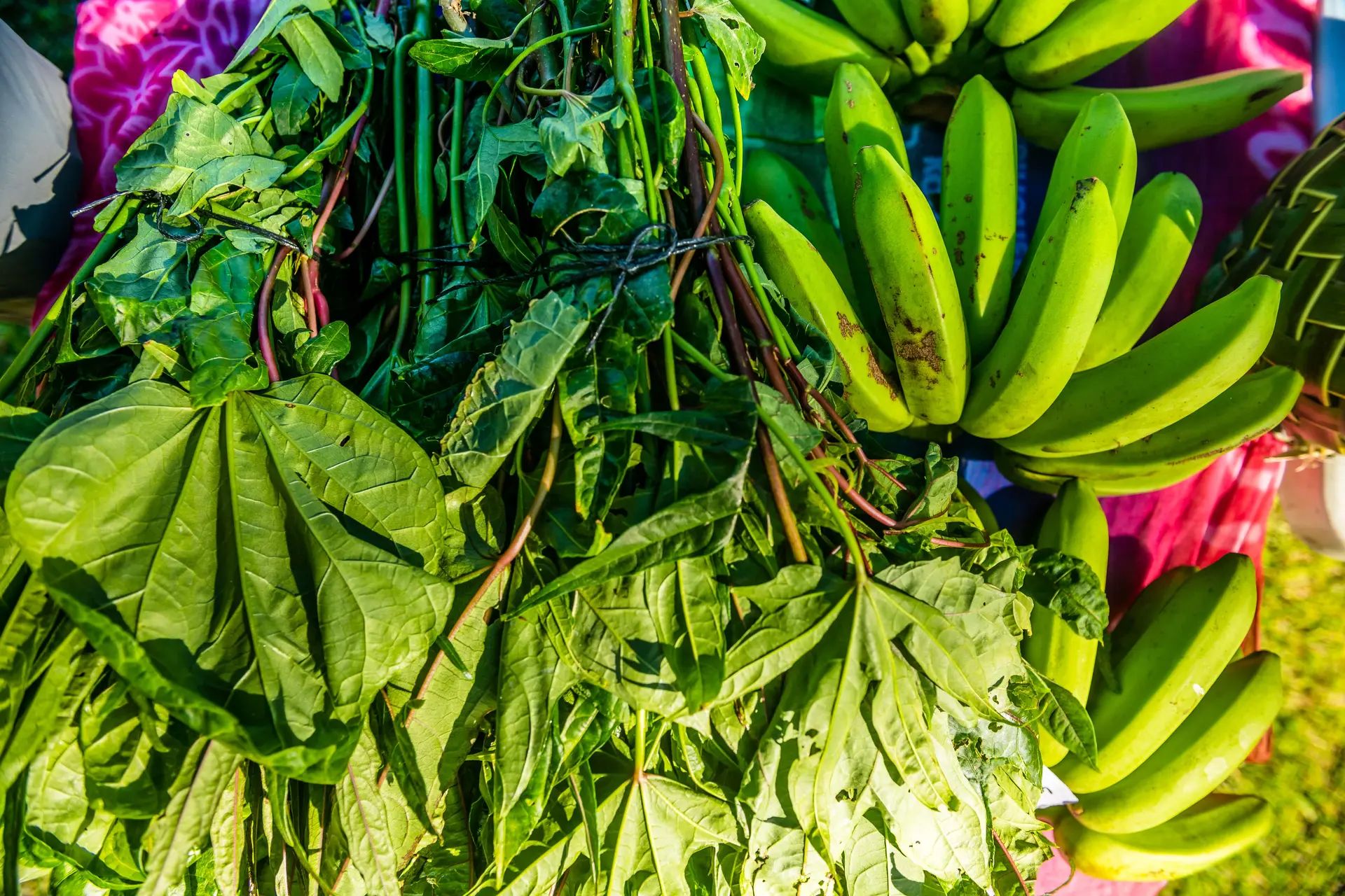 légume, fruits, marché de canala, stand