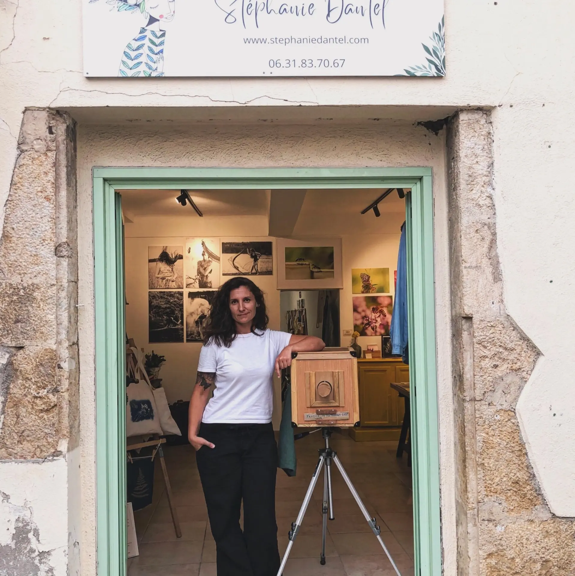 Mme Stéphanie Dantel