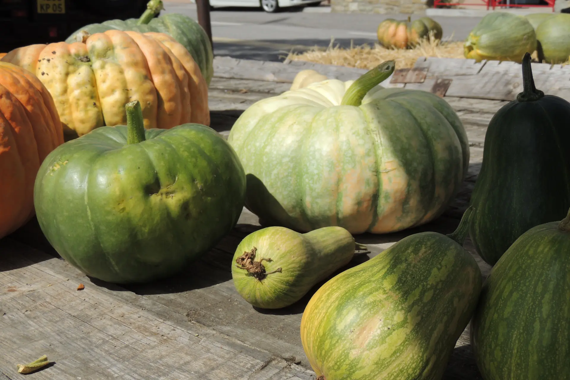 Variétés de couges