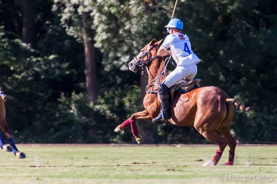 Match de polo