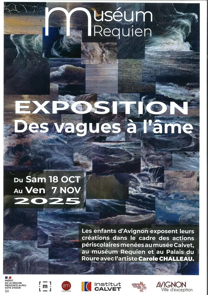 Des vagues à l'âme_Avignon