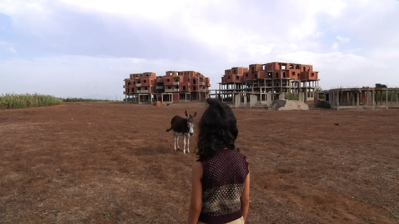 Safia Benaïm, La Fièvre, 2015. Inv. FNAC 2020-0711