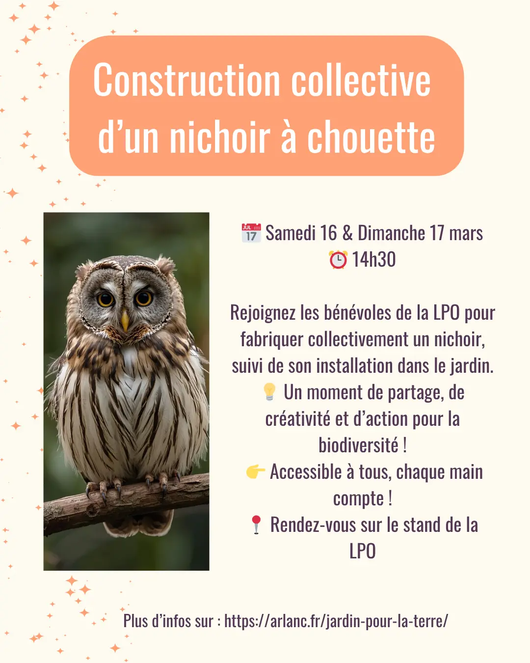 Atelier construction nichoir