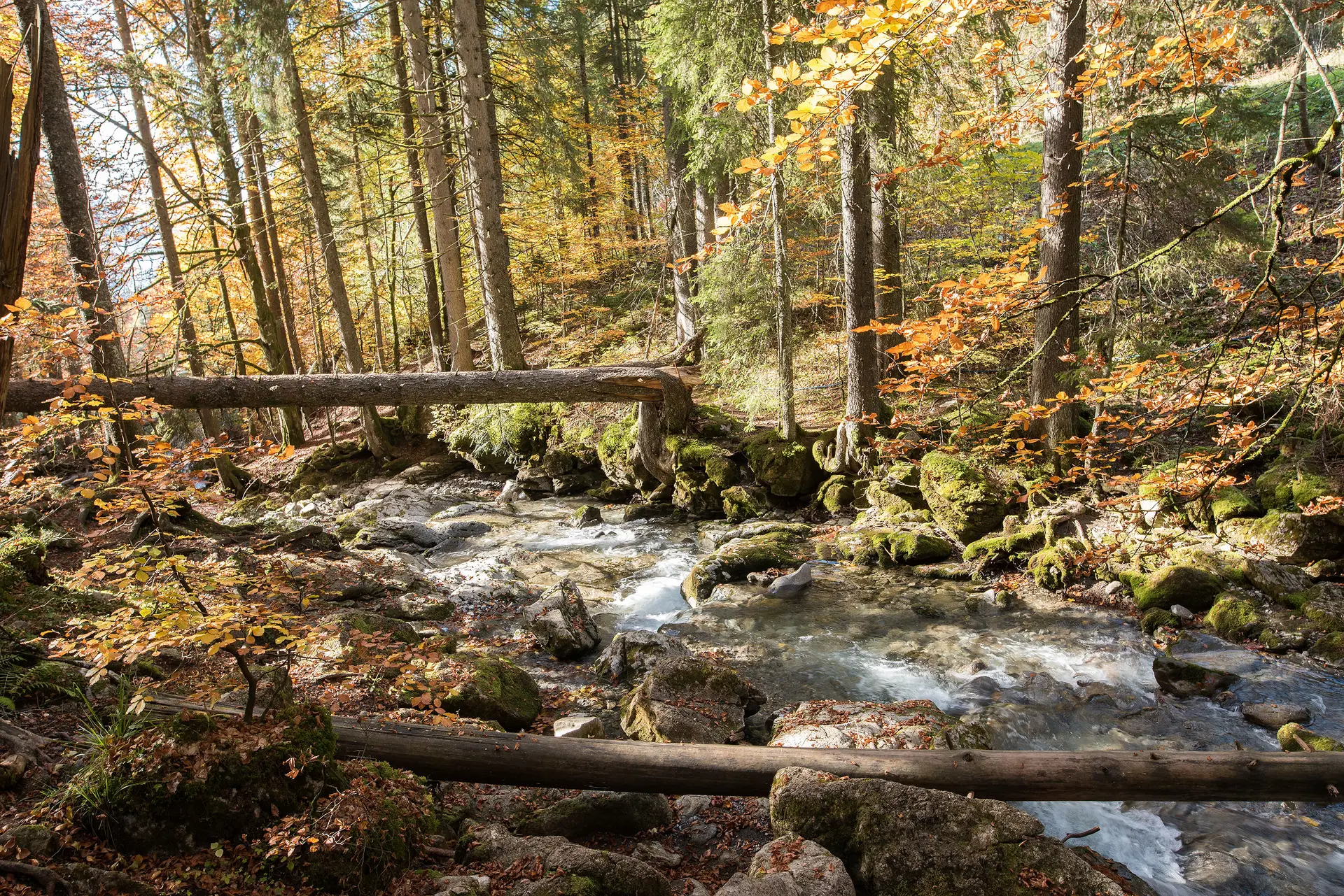 La jolie rivière juste au dessus de la Cascade d'Ardent