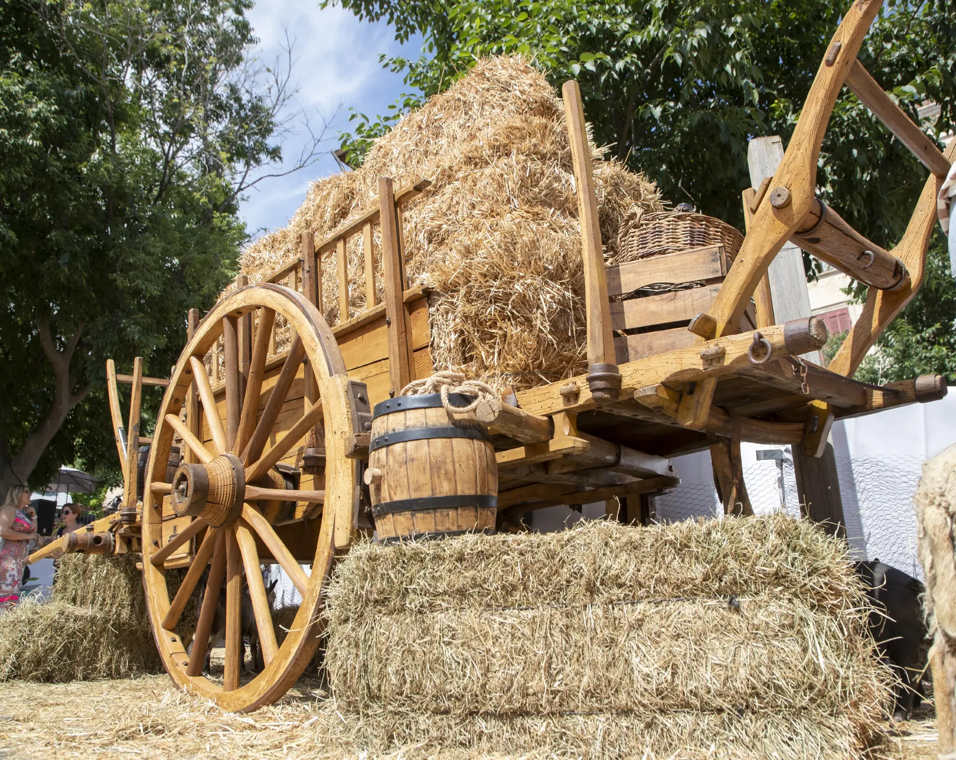 Foire de la Laine