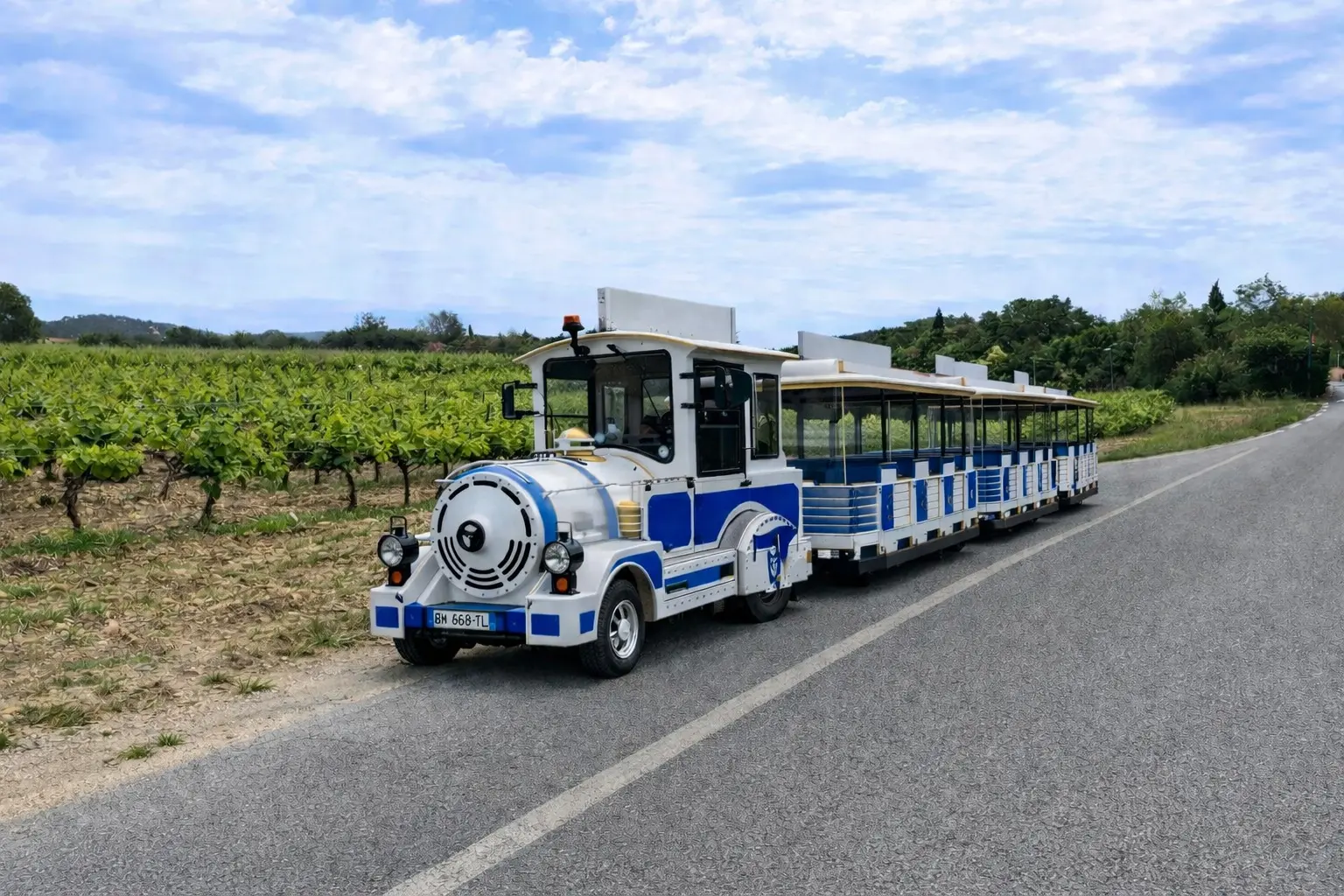 Petit train des vignes - Balade au cœur du terroir londais