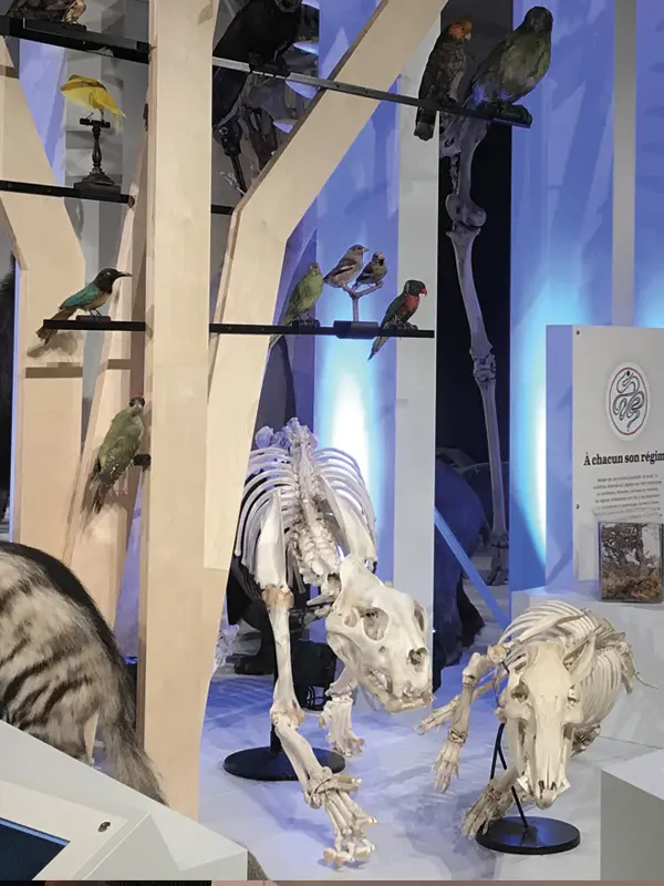 Terre d'Evolution Museum - Ville de Marseille - MHNM