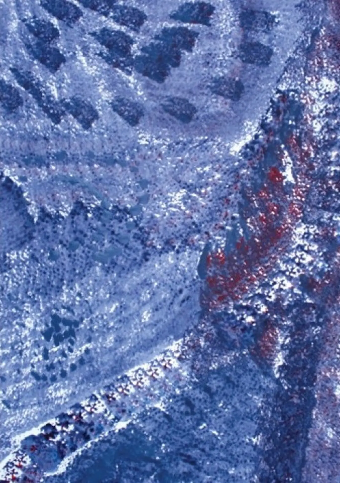 Exposition de peinture Patricia Pianetta à la mairie de la Terrasse