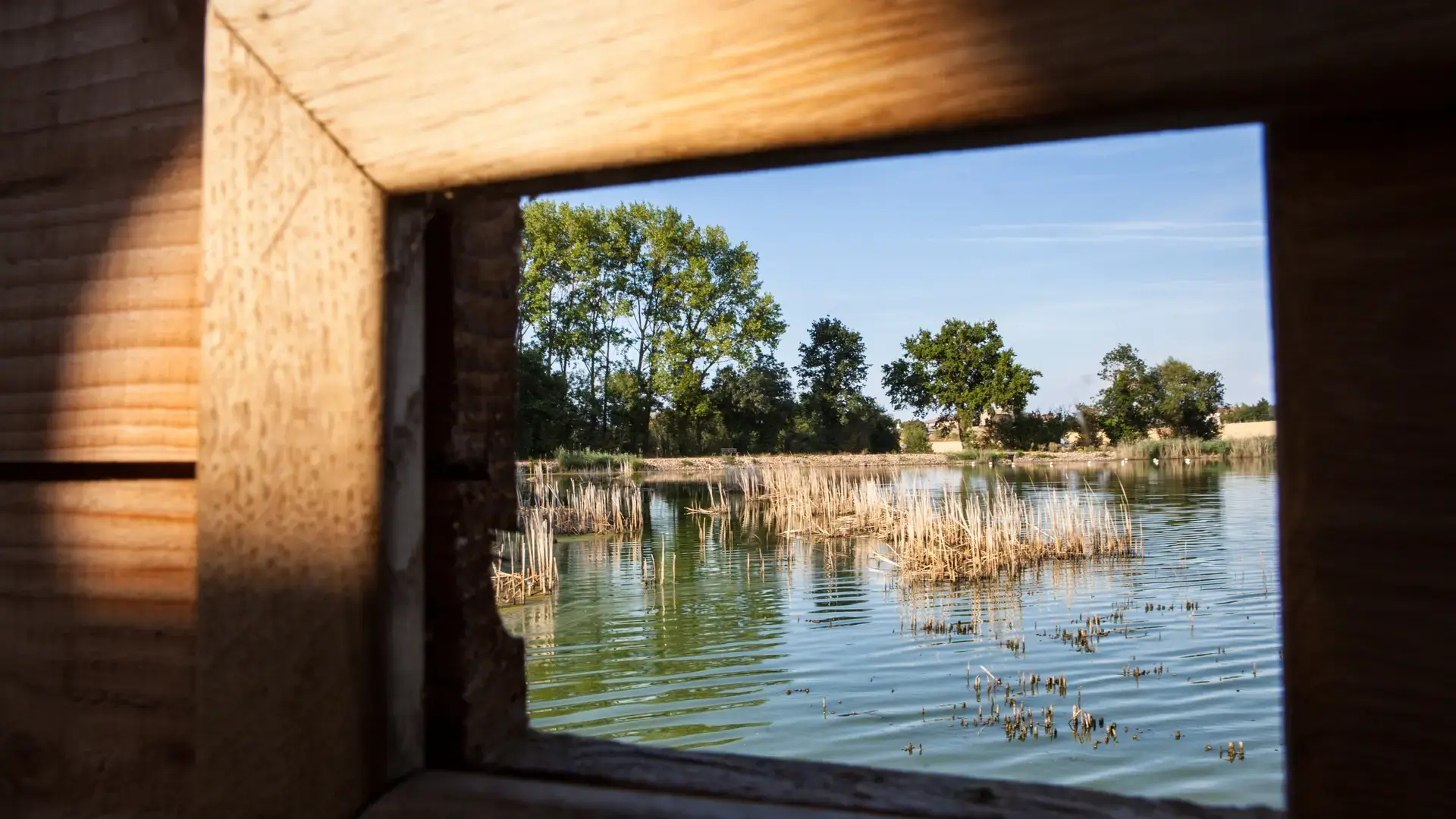 Etang de Prêle - Observatoire