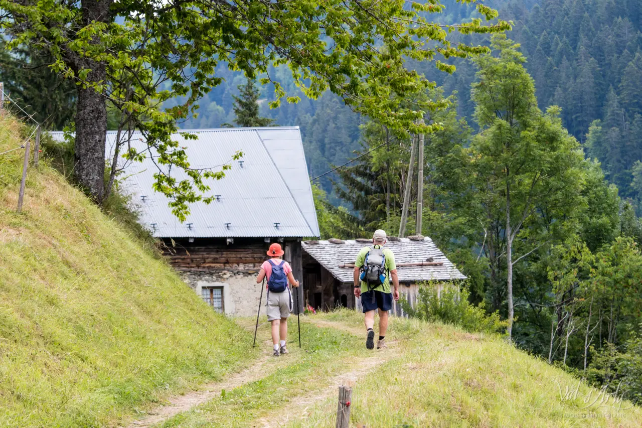 Arrivée à la ferme