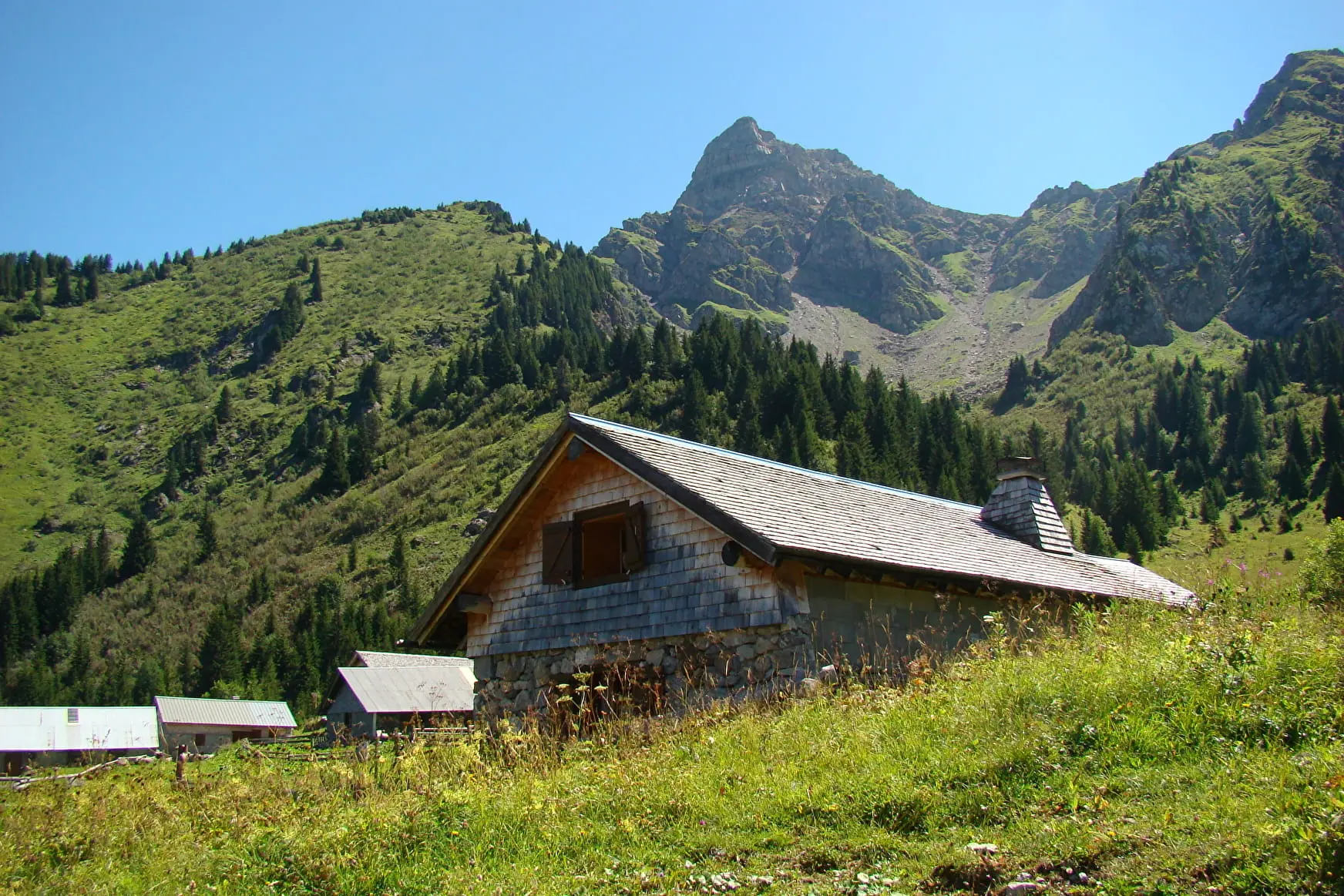 Chalets de Pertuis - Abondance