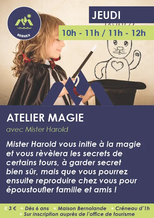 affiche de l'animation