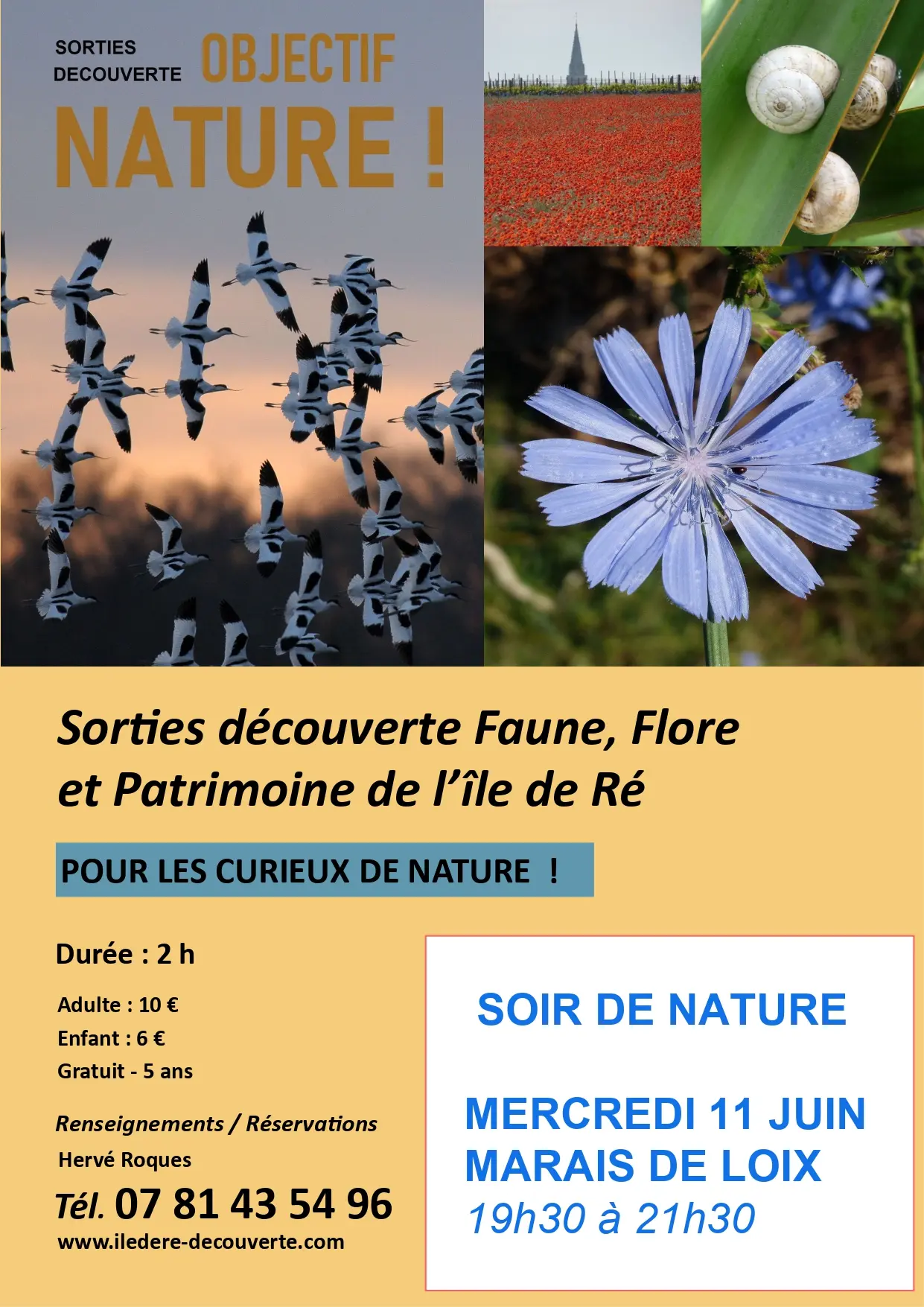Affiche de la Sortie découverte Faune, Flore et Patrimoine de l'Île de Ré_Loix par Hervé Roques