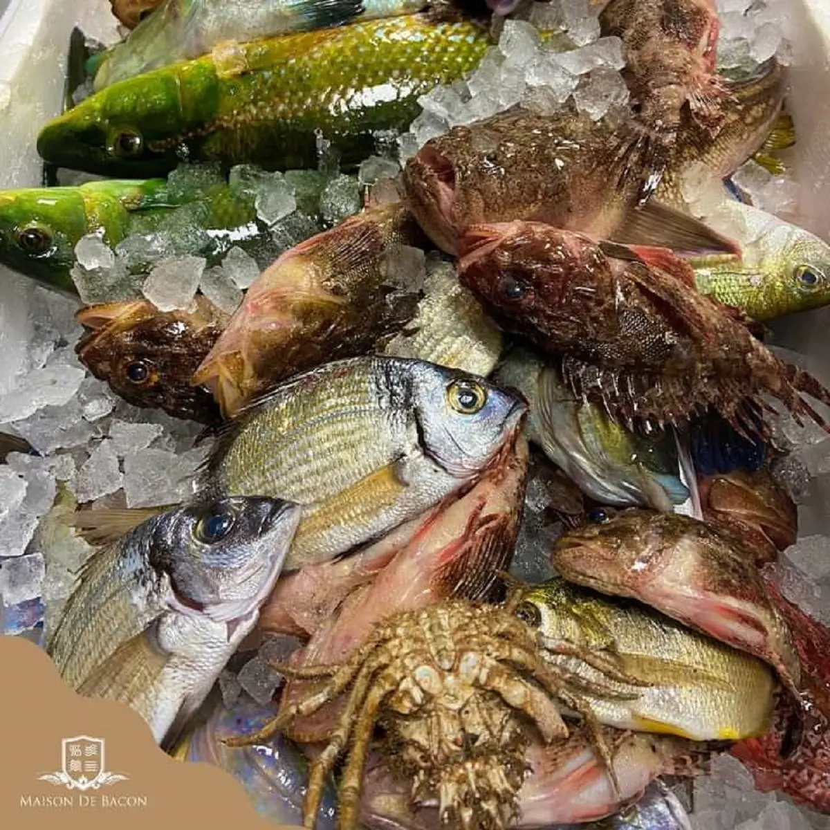 Pêche du jour de Serge et Anick
