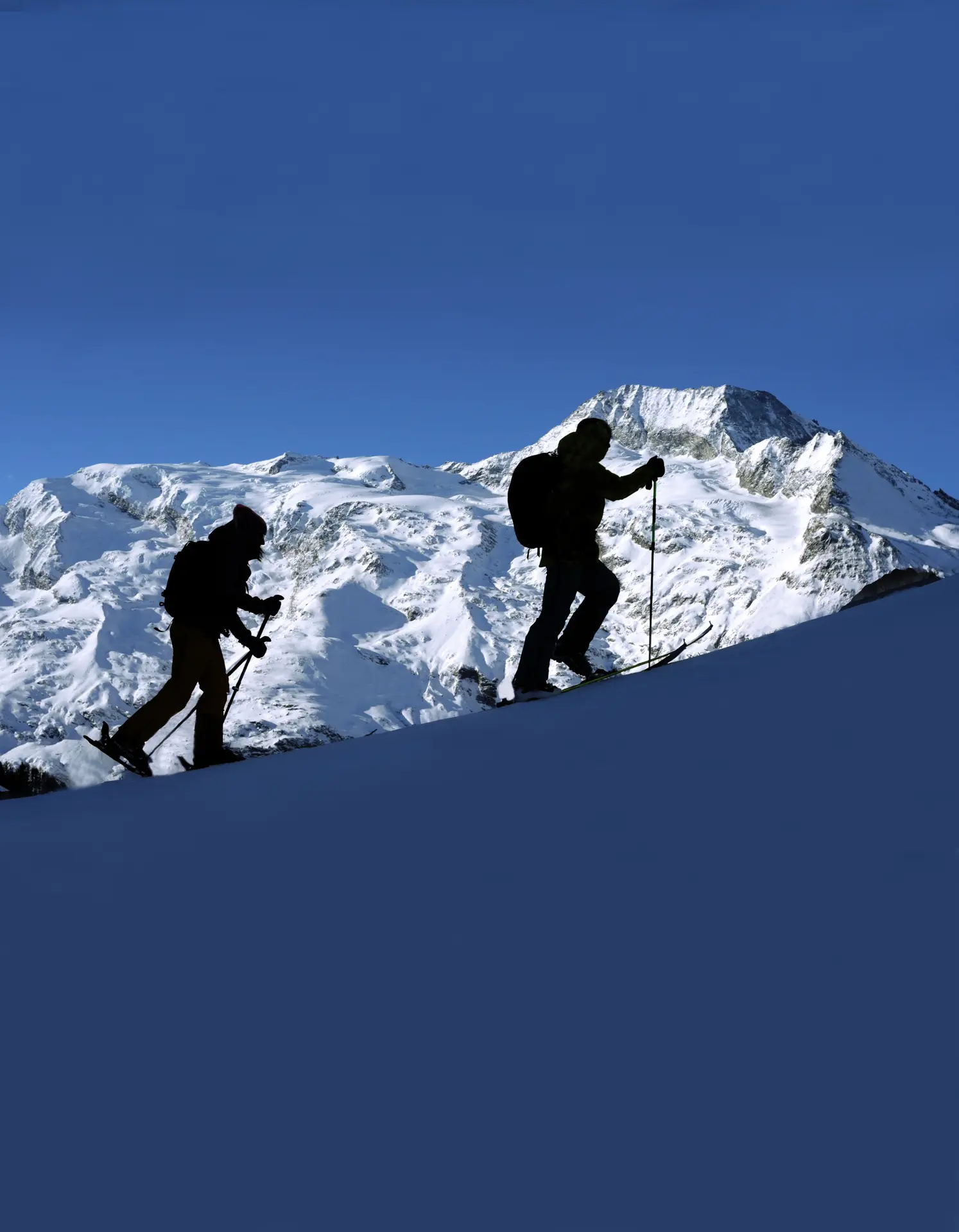Ski de randonnée