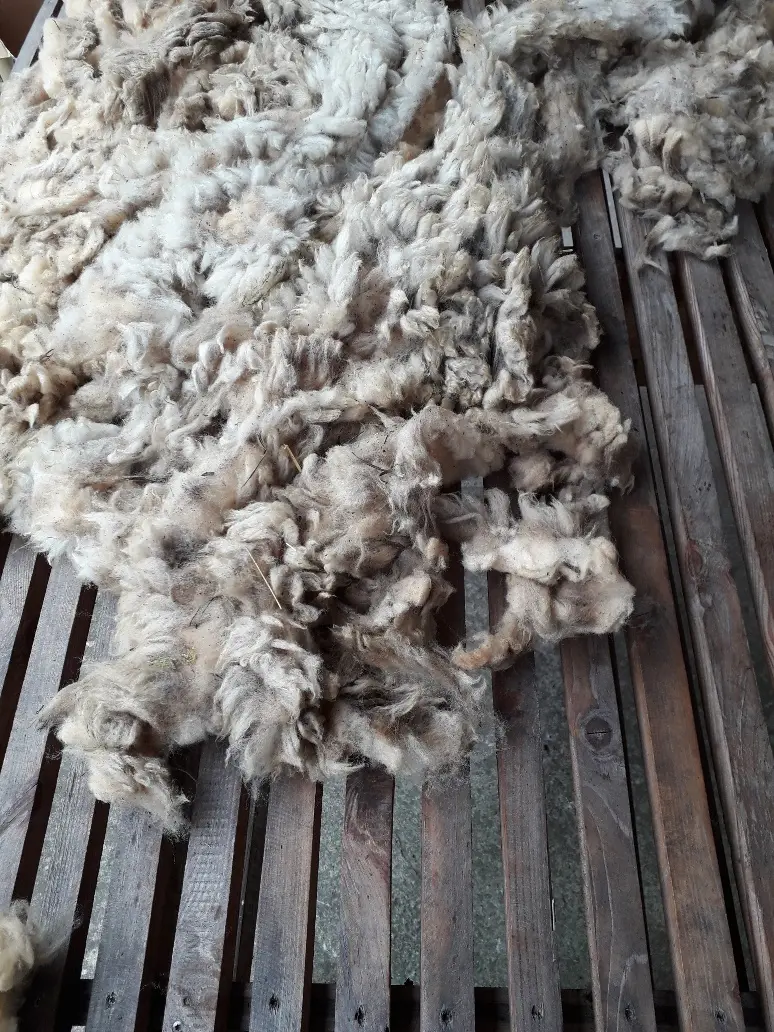 Initiation tri et lavage