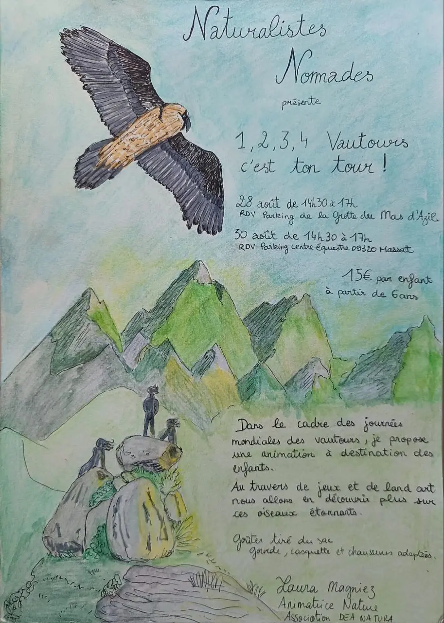 illustration vautours