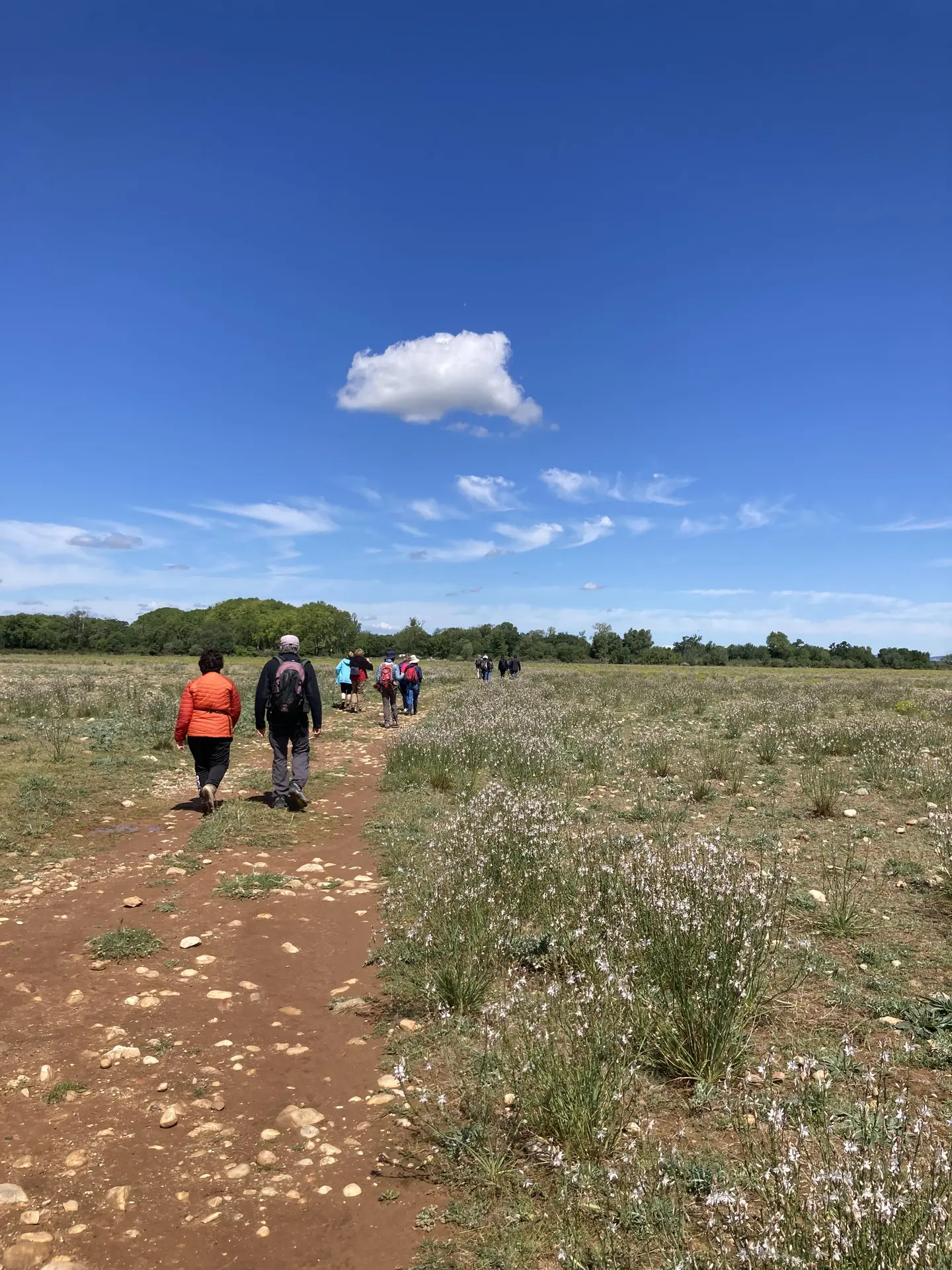 Balade dans les Coussouls (13)