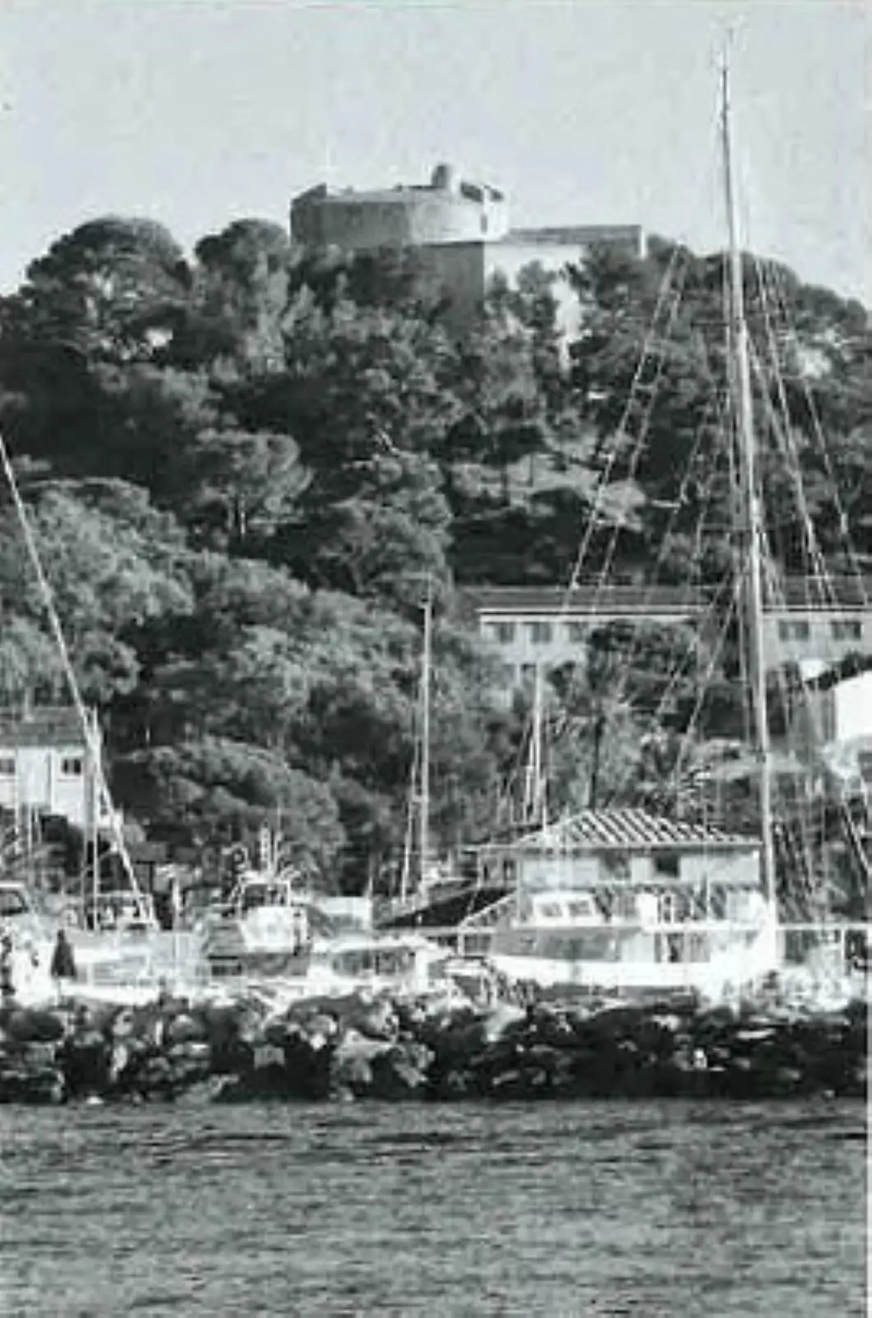 Randonnée patrimoniale et musicale à Porquerolles - FORTissimo 2026_Hyères