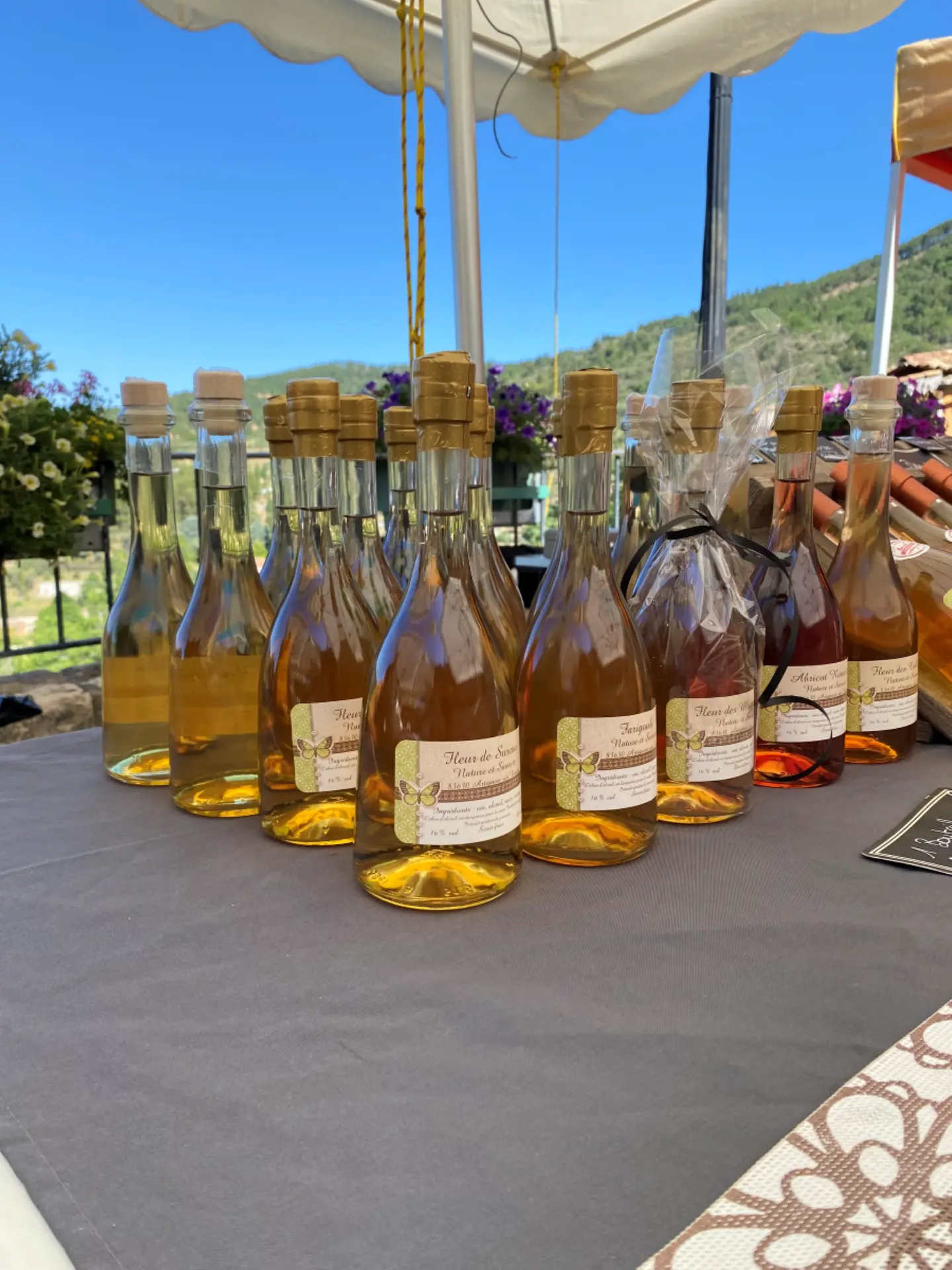 Crafts & Flavours of the Southern Alps 2024