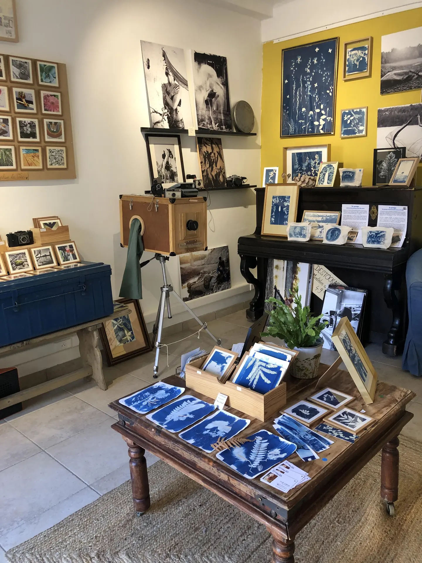 dans l'Atelier Photo