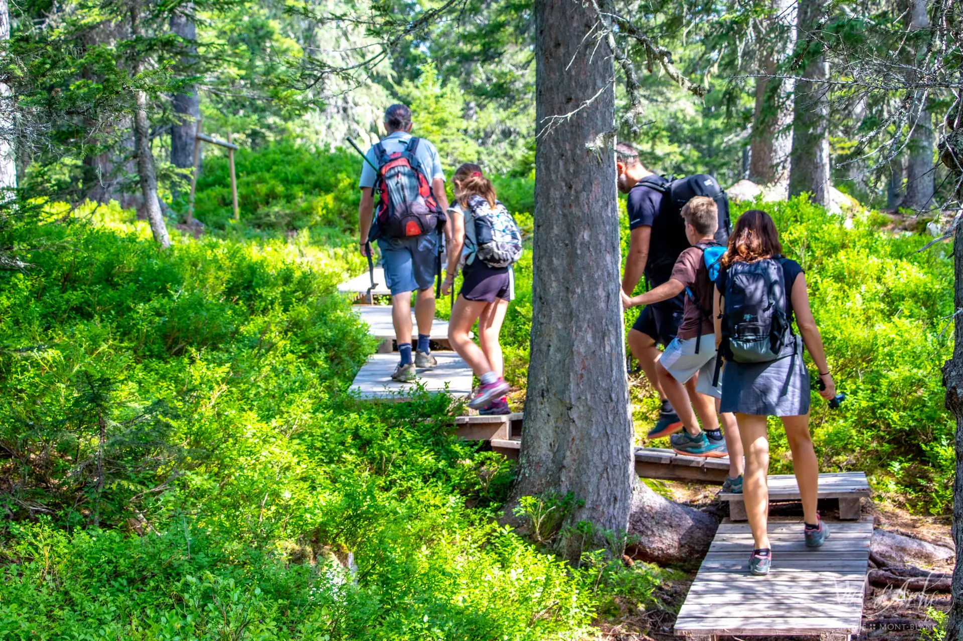 Visite guidée du sentier des Arpenières