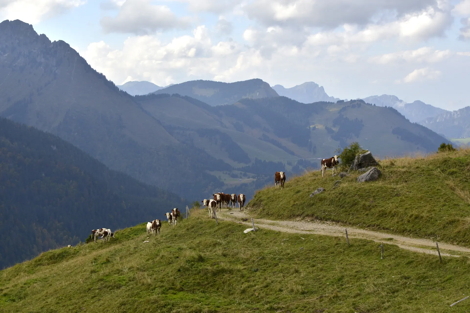 Hiking on the heights of Abondance
