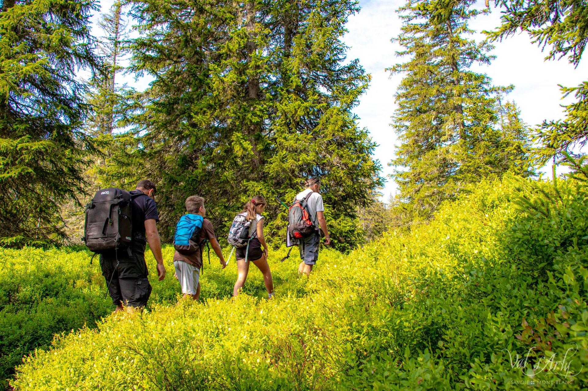 Visite guidée du sentier des Arpenières