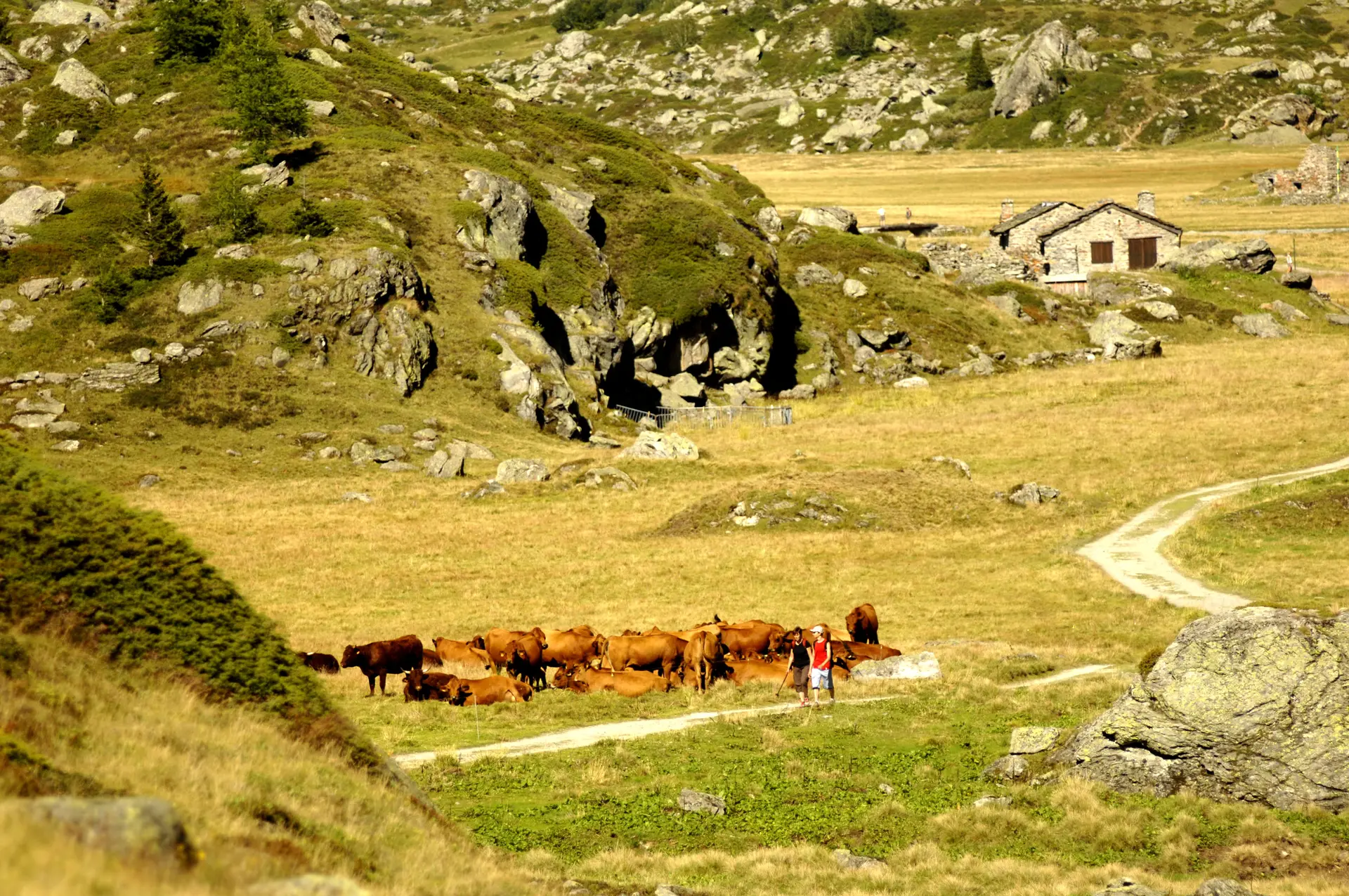 Randonnée à Sainte Foy