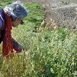 Balade contée et gourmande sur les marais d'Ars