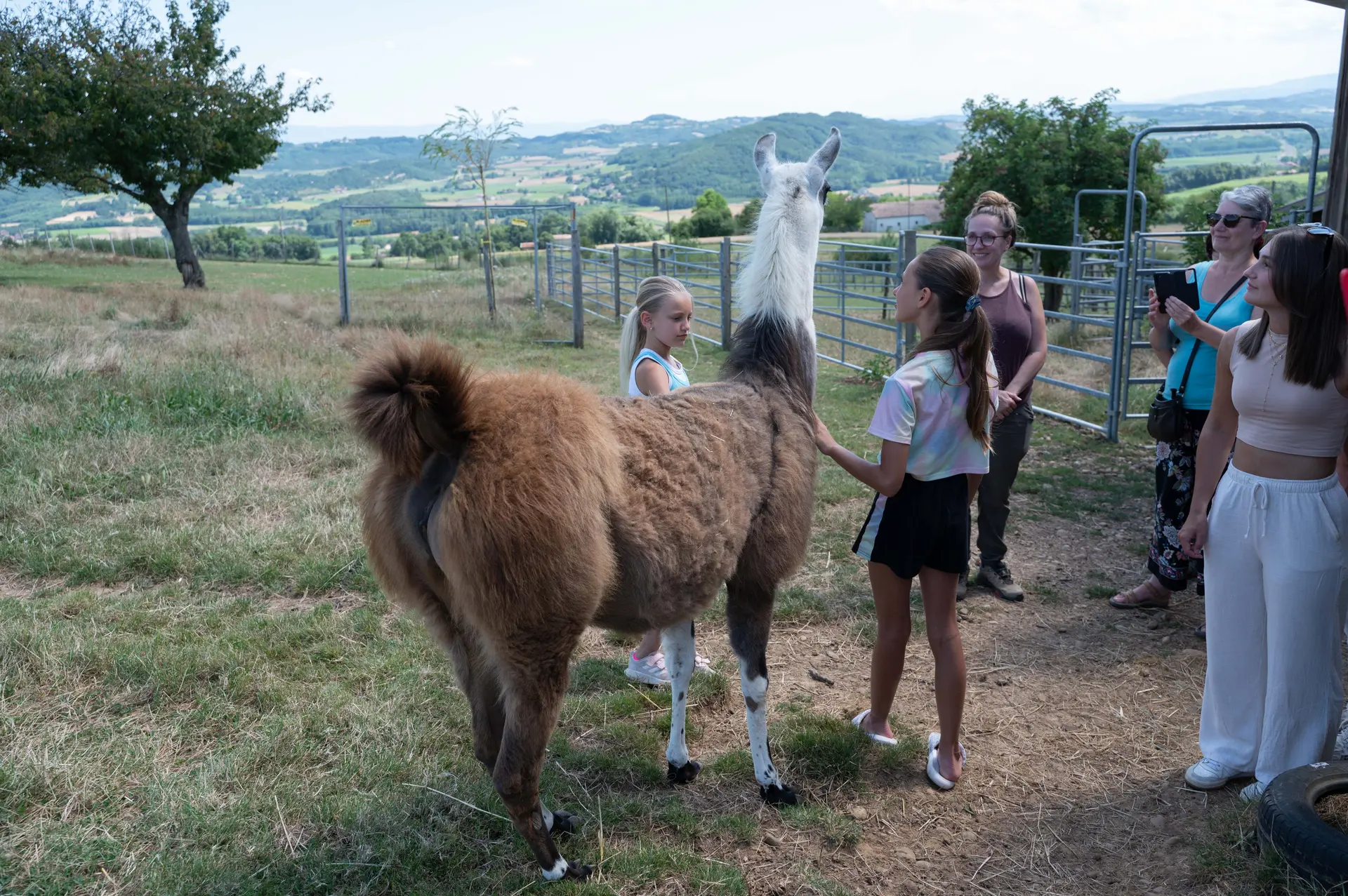 Visite aux lamas des plaines