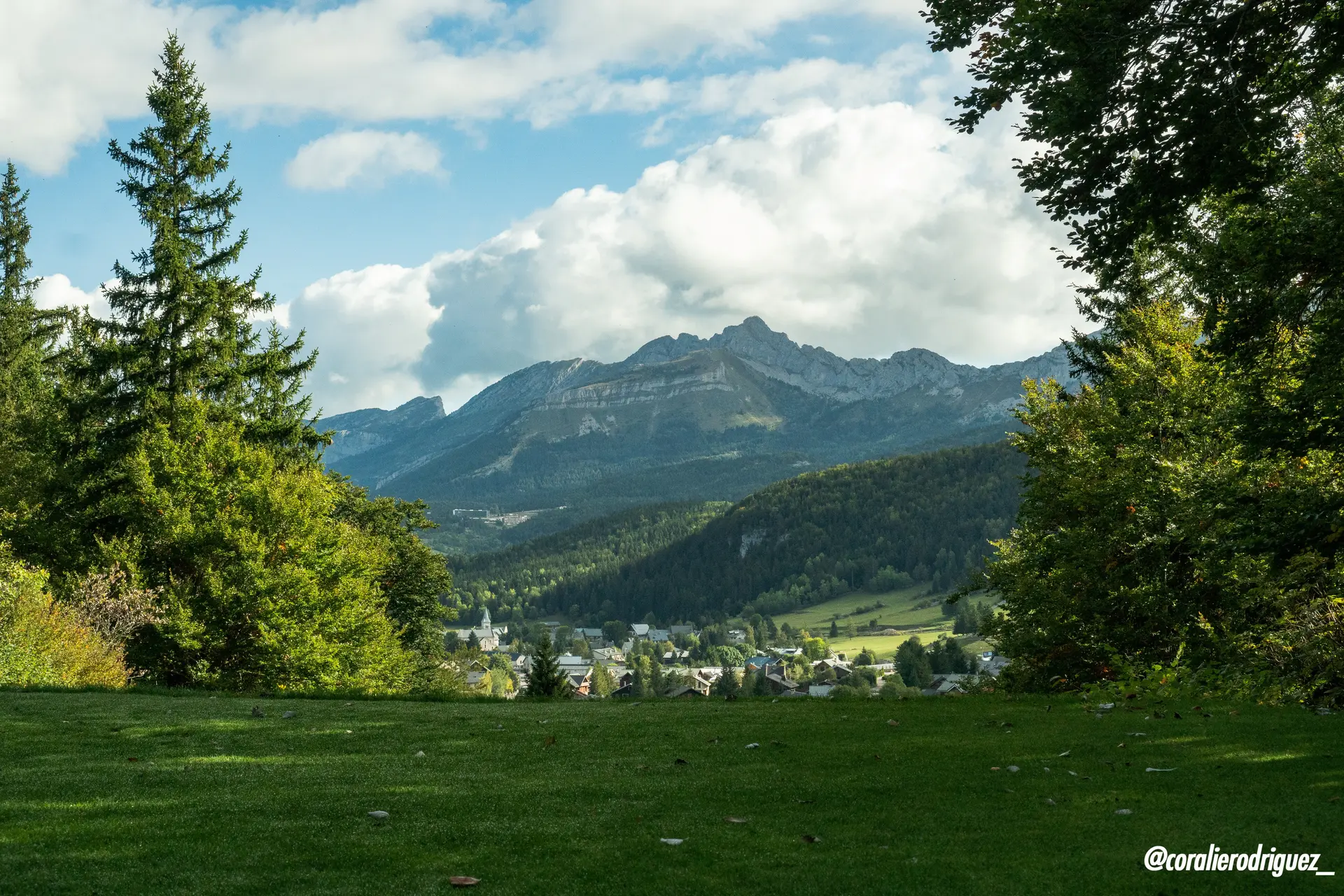 Paysage naturel, vue sur les montagne à l'arrière plan et quelques arbres et sapins au premier et second plan