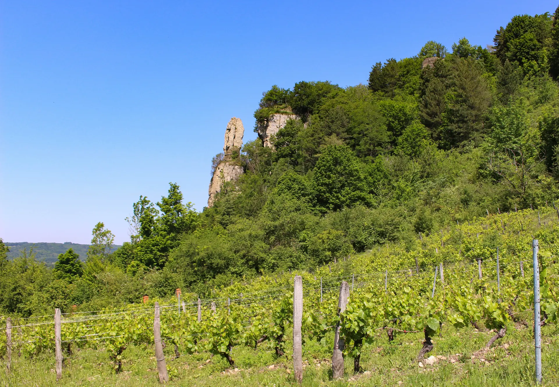 Le vignoble du Bugey