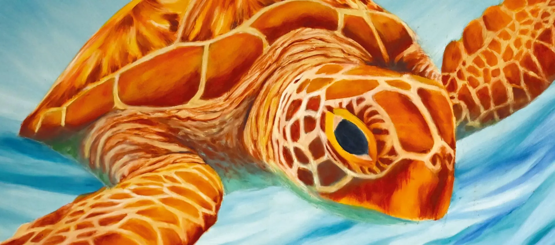 Exposition Philippe Leborne_Sainte-Maxime