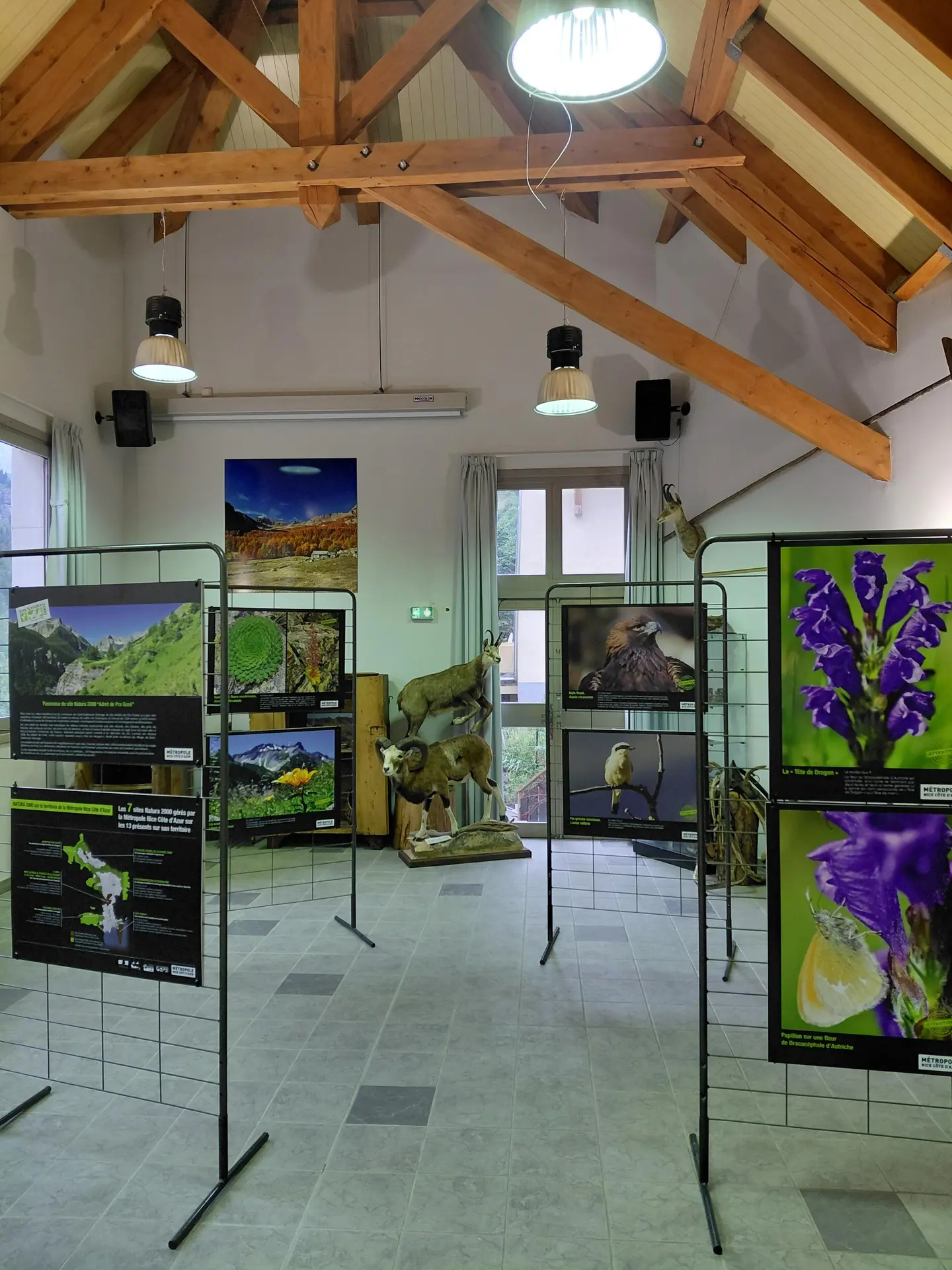Salle expo