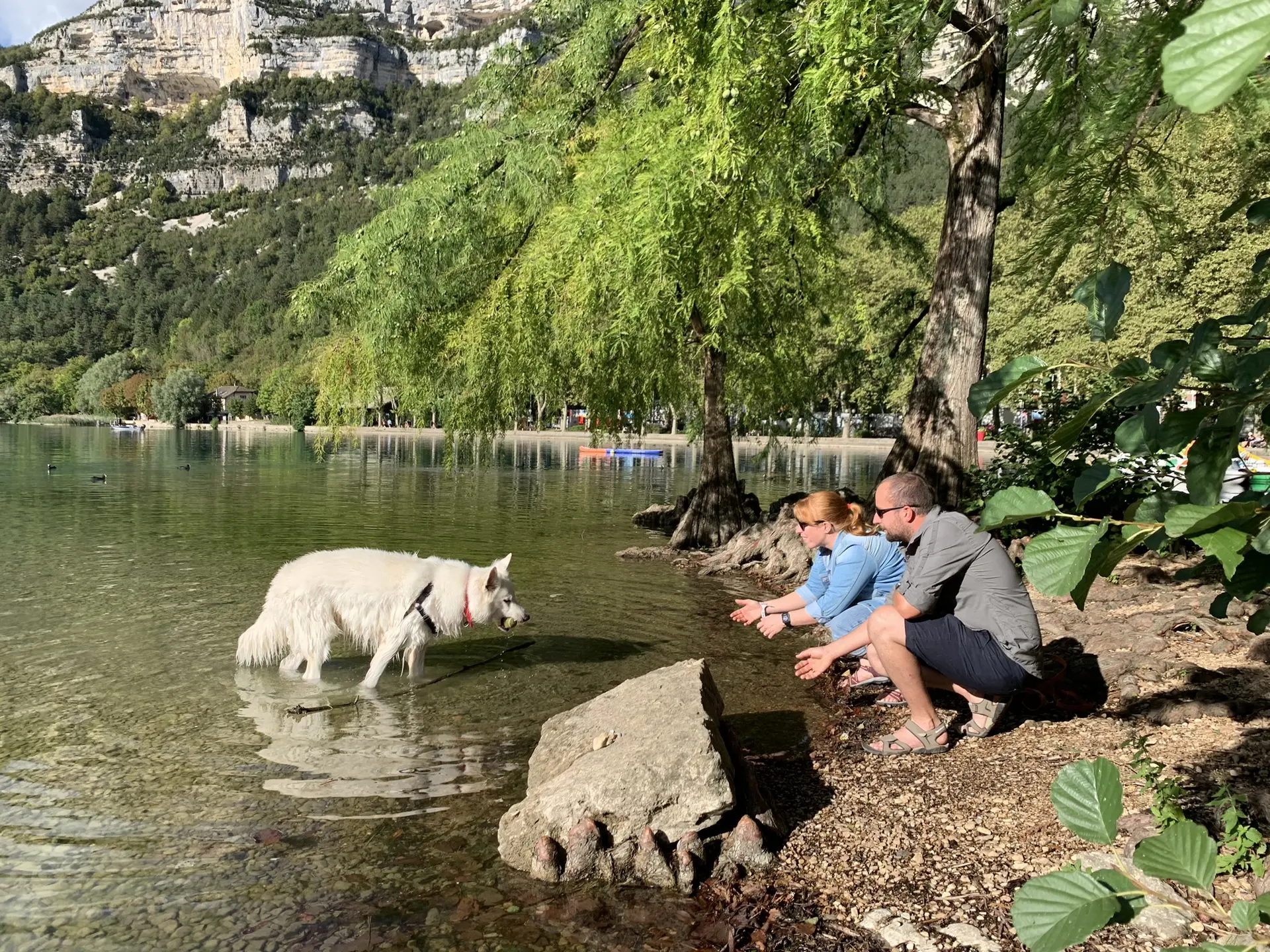 Journée dog friendly