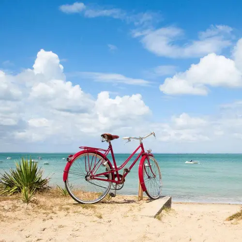Parcours spectacles à bicyclette_La Couarde-sur-Mer